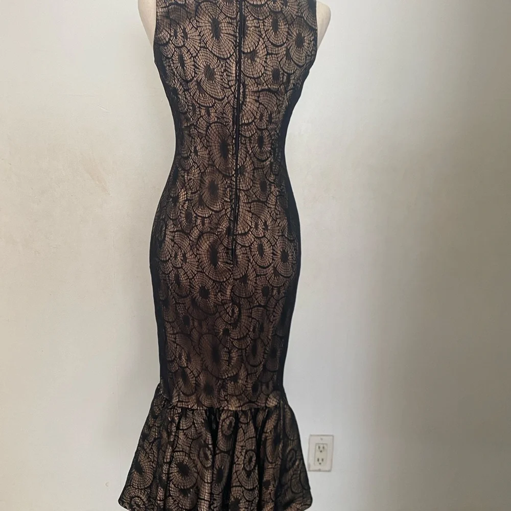 Pinup Couture spiderweb Lace dress size small UNICORN! - Picture 2 of 6